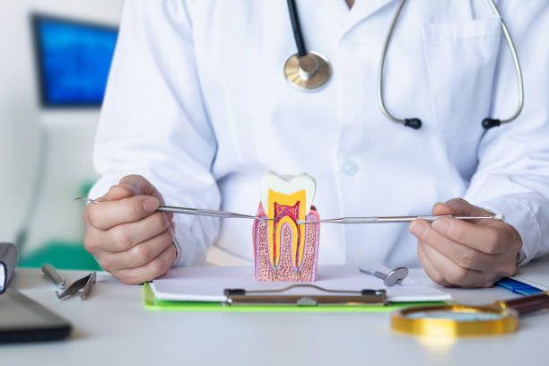 Best Emergency Orthodontic Repairs in Moorhead, MN